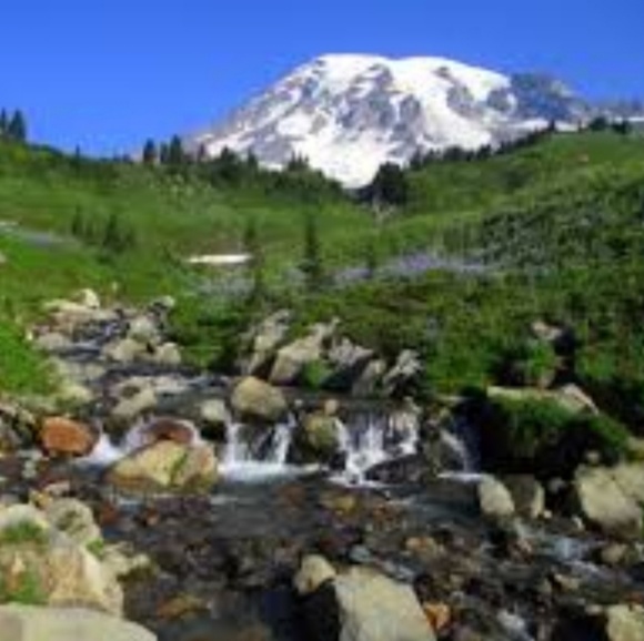 Meet your Posher, Mary - Picture 1 of 1